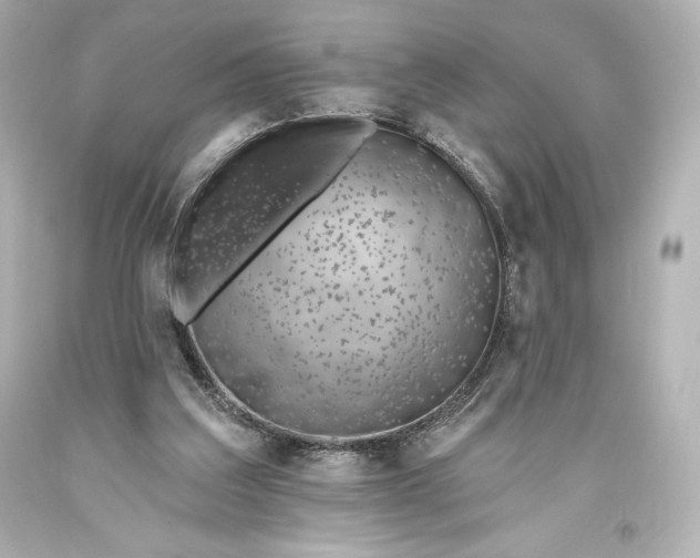 X0000093470203200711021240