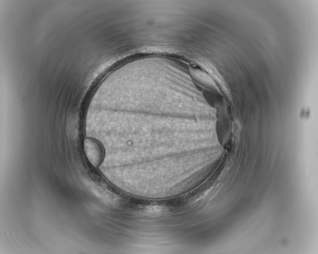 X0000093470204200711021240