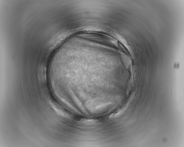 X0000093470205200711021240