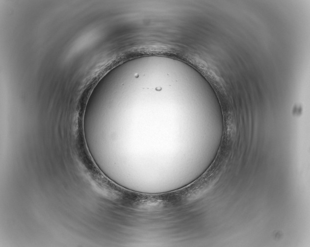 X0000093470206200711021240