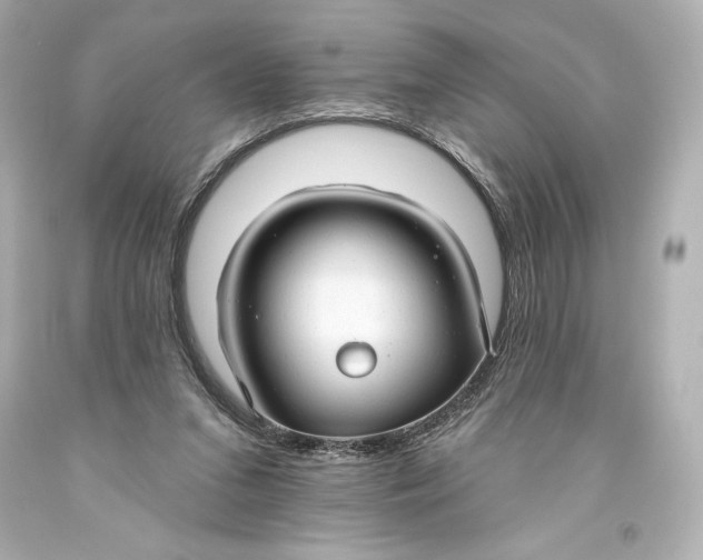 X0000093470207200711021240