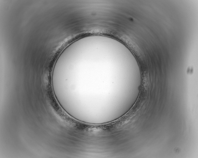 X0000093470208200711021240