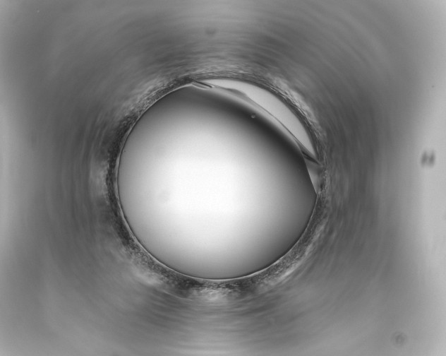 X0000093470209200711021240