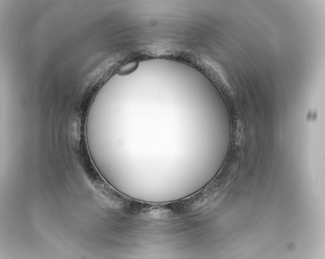 X0000093470210200711021240