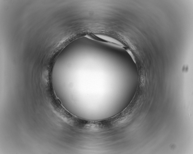 X0000093470211200711021240