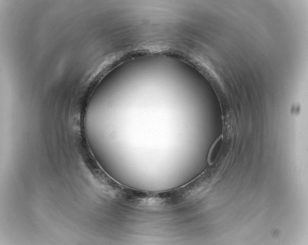 X0000093470212200711021240