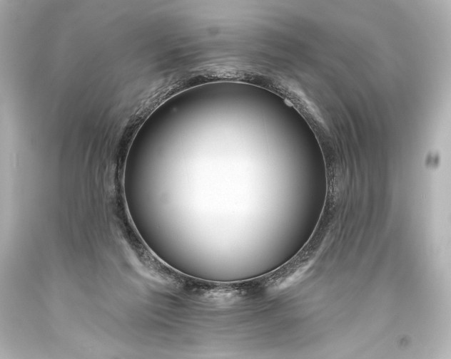 X0000093470213200711021240