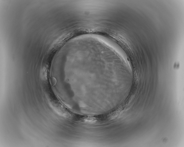 X0000093470214200711021240