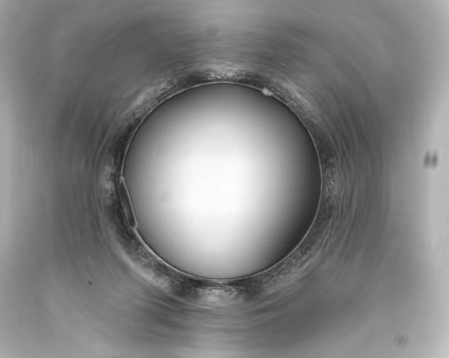 X0000093470215200711021240