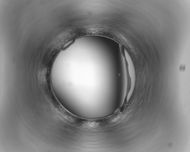 X0000093470217200711021240