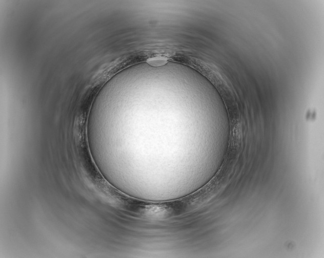 X0000093470218200711021240