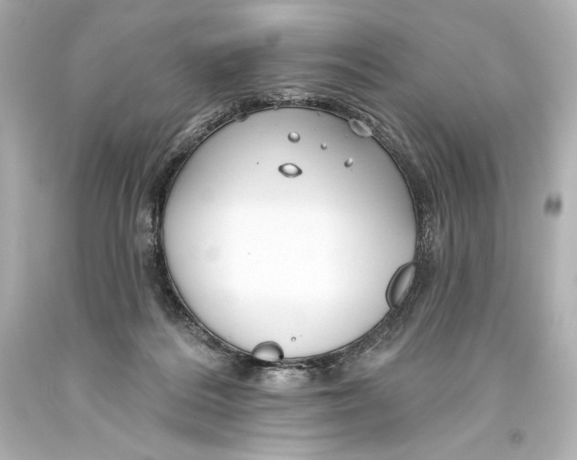 X0000093470220200711021240