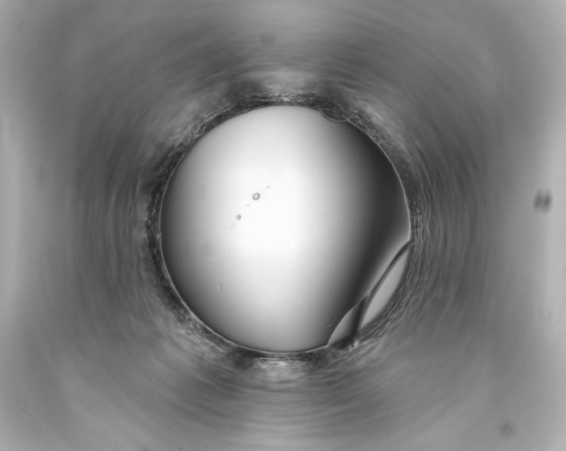 X0000093470221200711021240