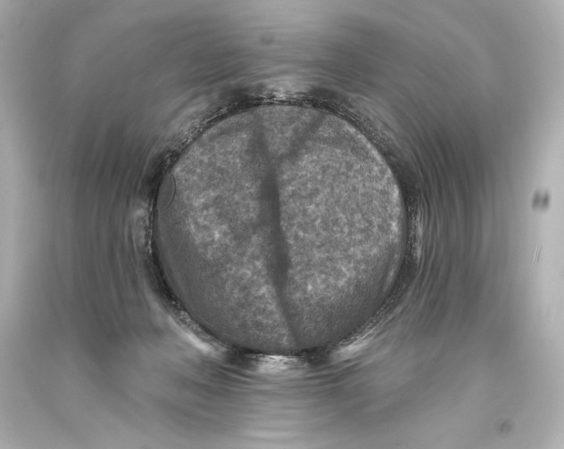 X0000093470222200711021240