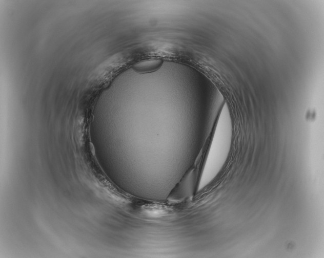 X0000093470223200711021240