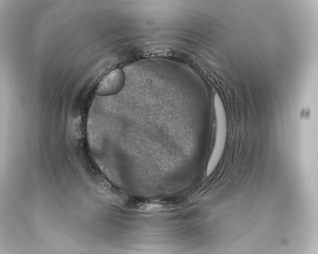 X0000093470224200711021240