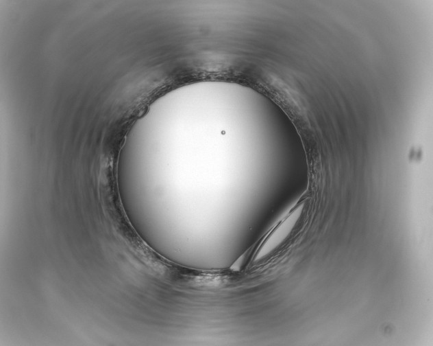 X0000093470225200711021240