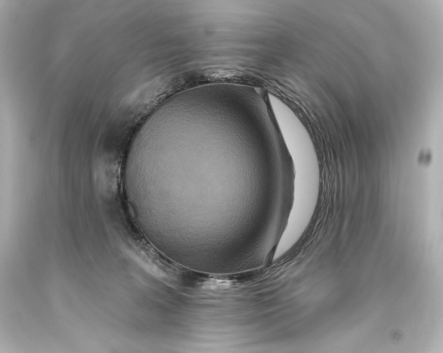 X0000093470227200711021240