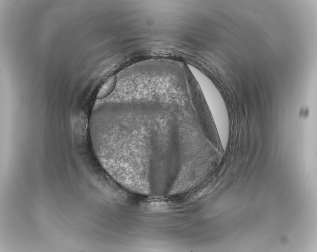 X0000093470228200711021240