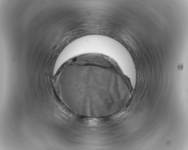 X0000093470229200711021240