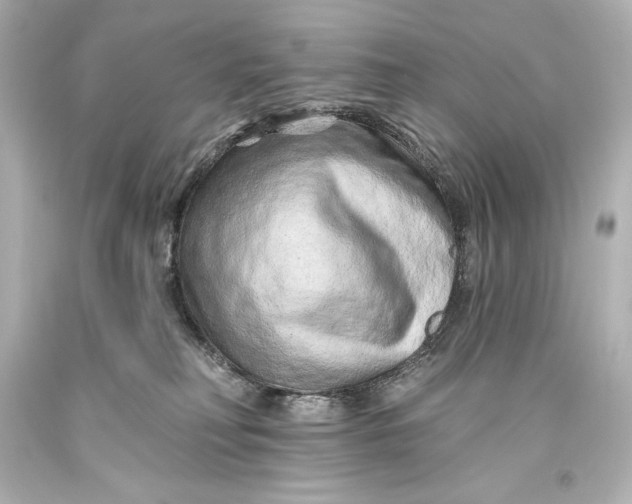 X0000093470230200711021240