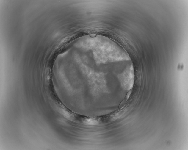 X0000093470232200711021239