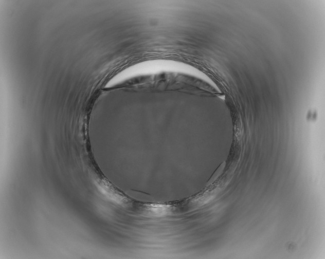 X0000093470233200711021239