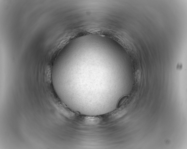 X0000093470234200711021239