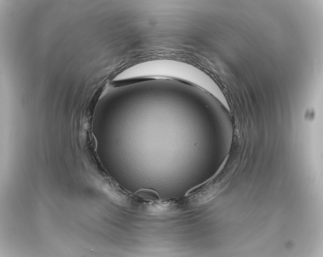 X0000093470235200711021239