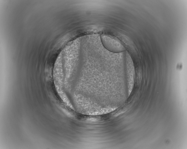 X0000093470236200711021239