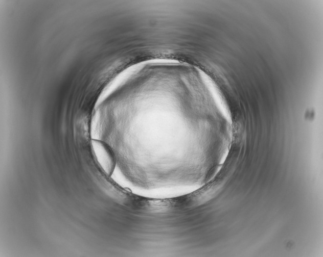 X0000093470238200711021239