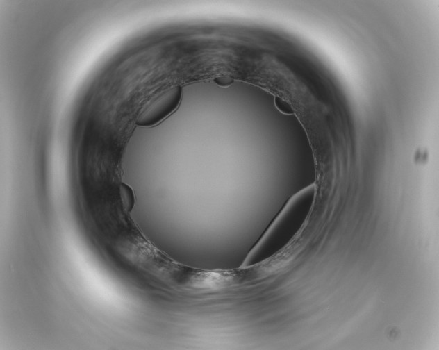 X0000093470239200711021239