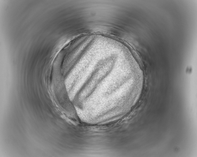 X0000093470241200711021239