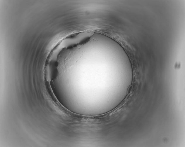 X0000093470242200711021239