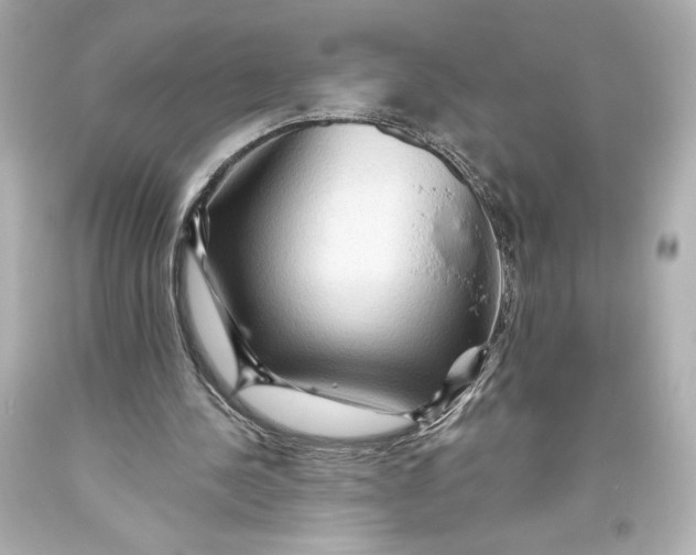 X0000093470244200711021239