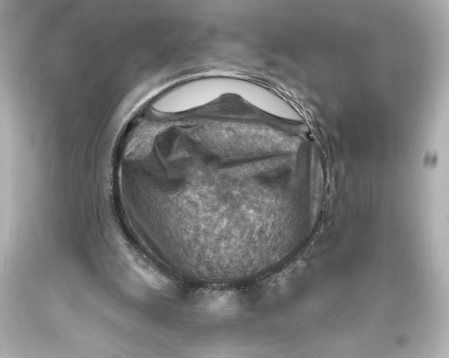 X0000093470247200711021239