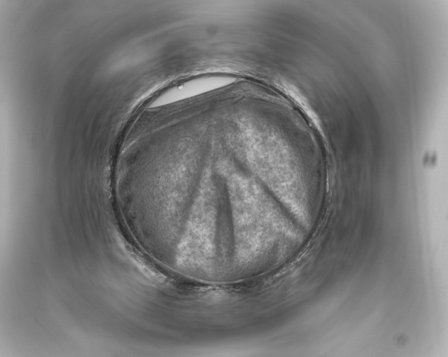 X0000093470249200711021239