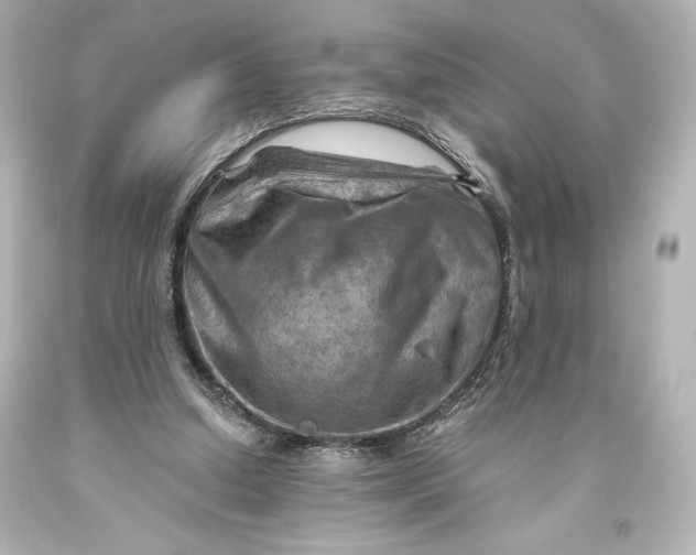 X0000093470250200711021239