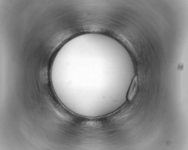 X0000093470251200711021239