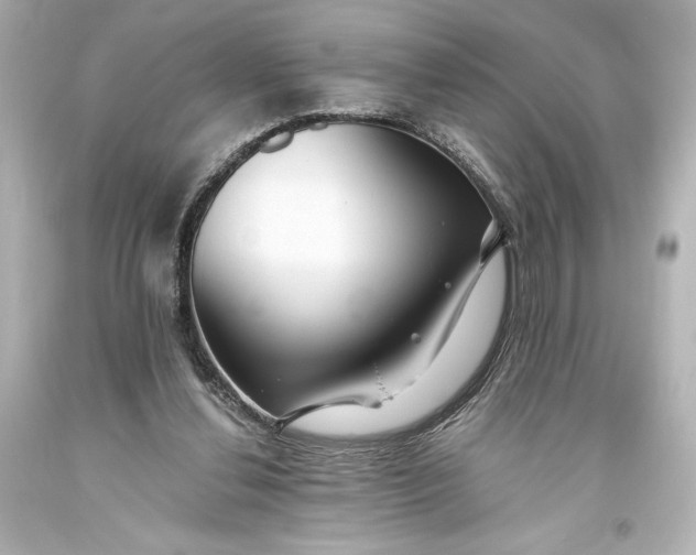 X0000093470252200711021239