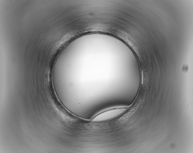 X0000093470253200711021239