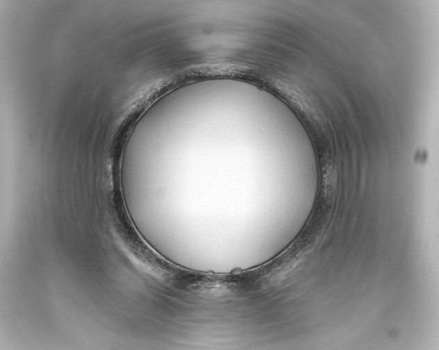 X0000093470254200711021239