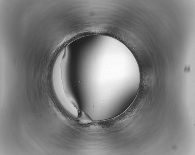 X0000093470256200711021239