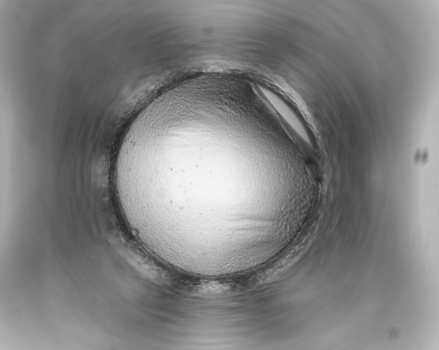 X0000093470257200711021239