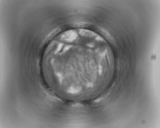 X0000093470258200711021239