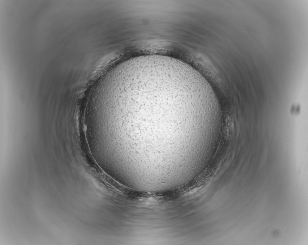 X0000093470259200711021239