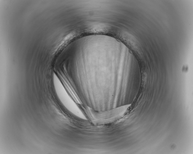 X0000093470260200711021239