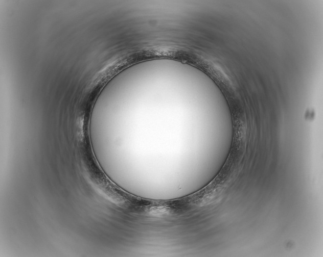 X0000093470262200711021239