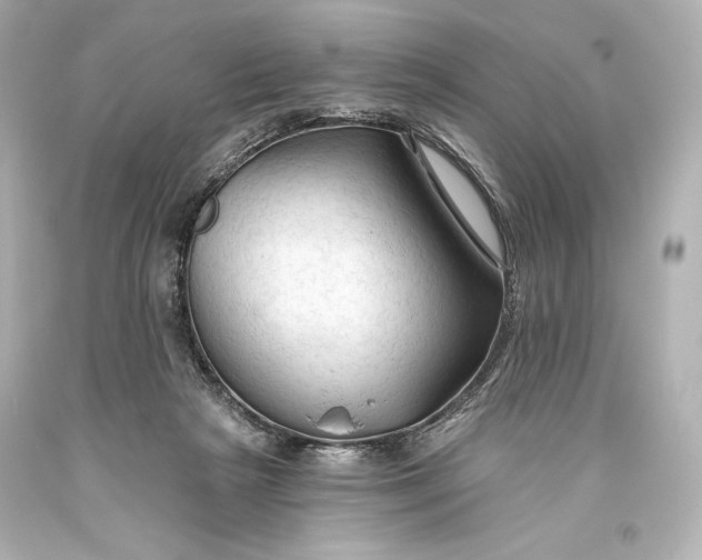 X0000093470265200711021239