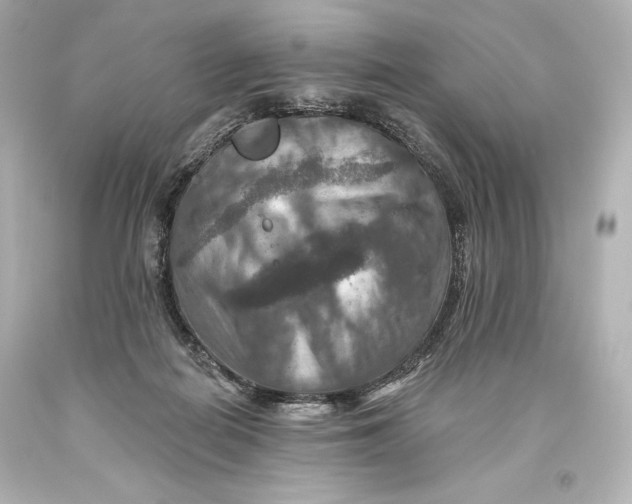 X0000093470266200711021239